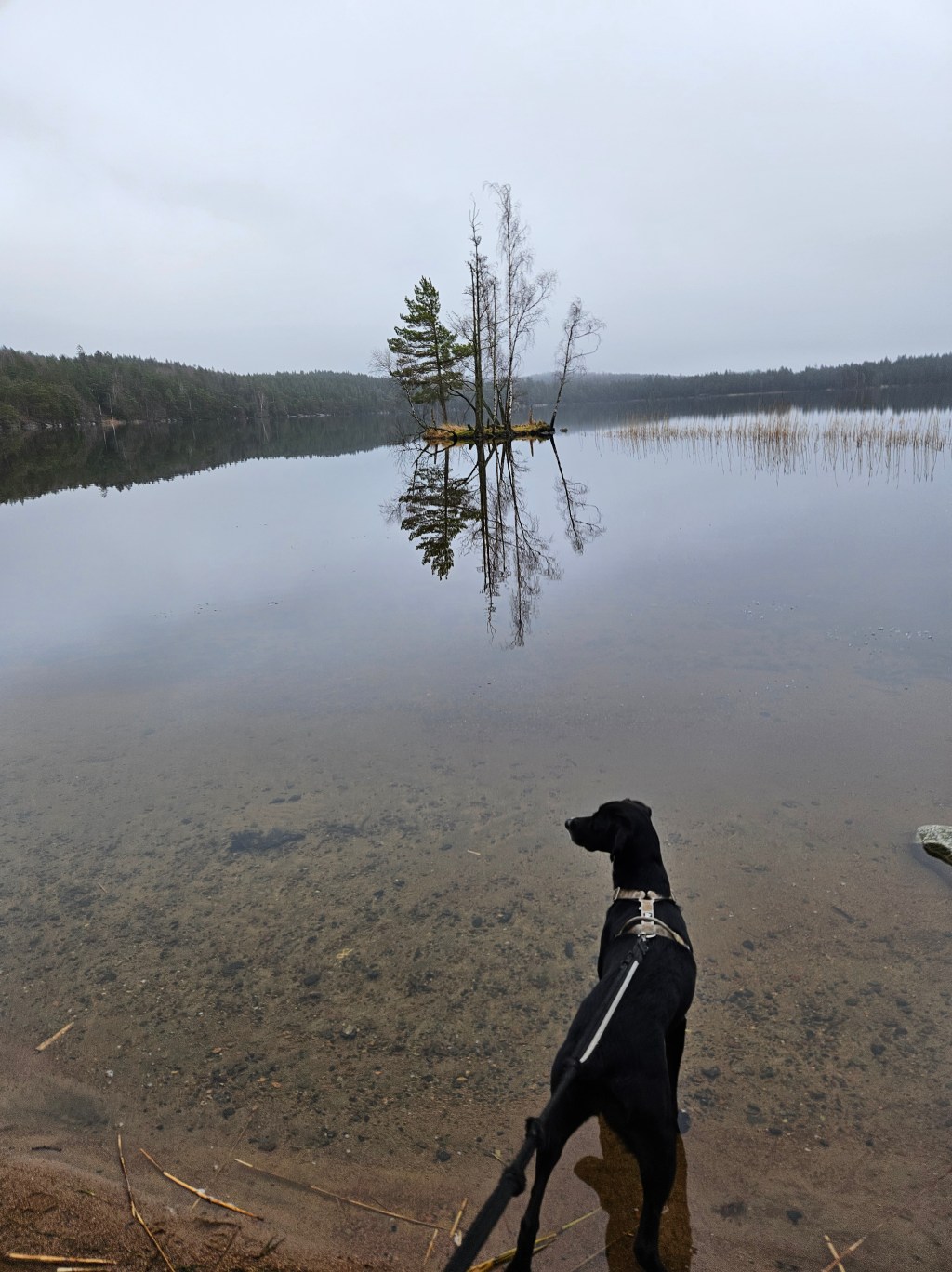 Hi Esther & Supermassive Black&nbsp;Hole